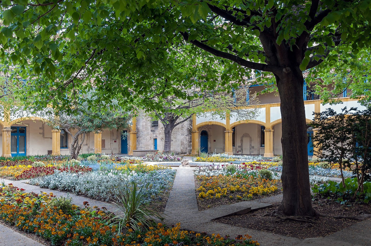 Jardin de l’Espace Van Gogh à Arles, ancien Hôtel-Dieu peint par Vincent van Gogh