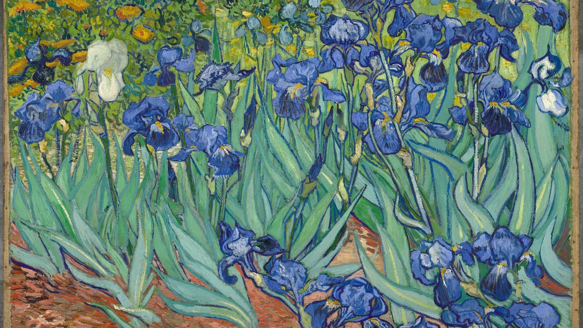 Iris — Vincent van Gogh, détail du tableau du Getty recadré en 16/9
