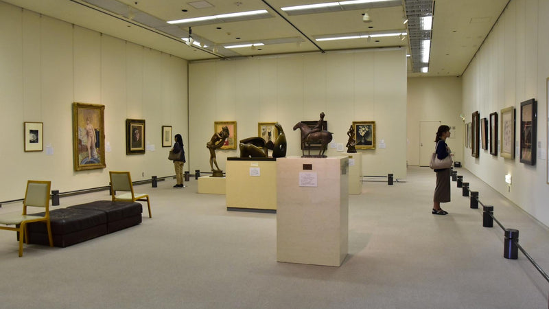 Kagoshima stads konstmuseum