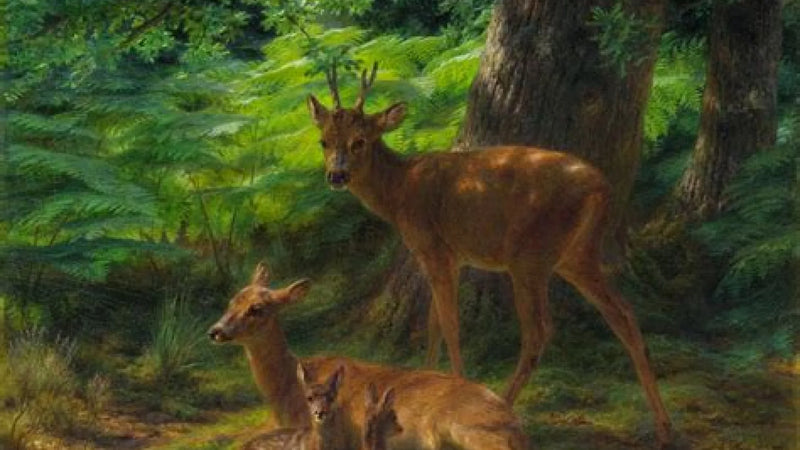 Rosa Bonheur