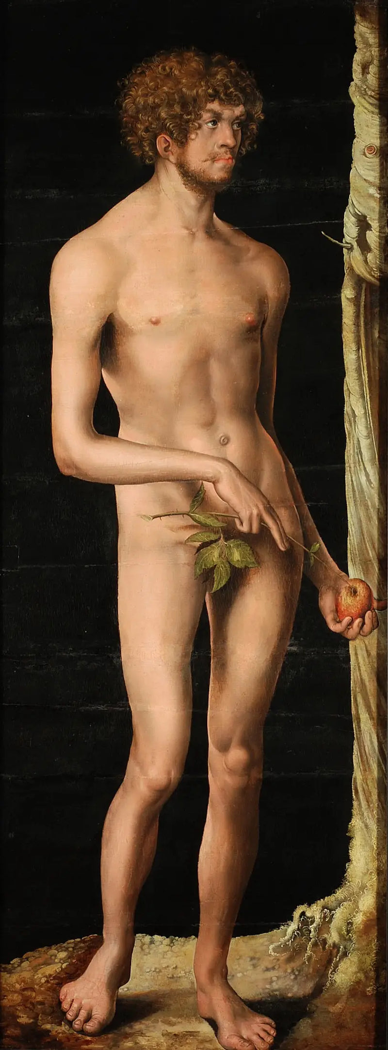 Adam - Lucas Cranach den äldre