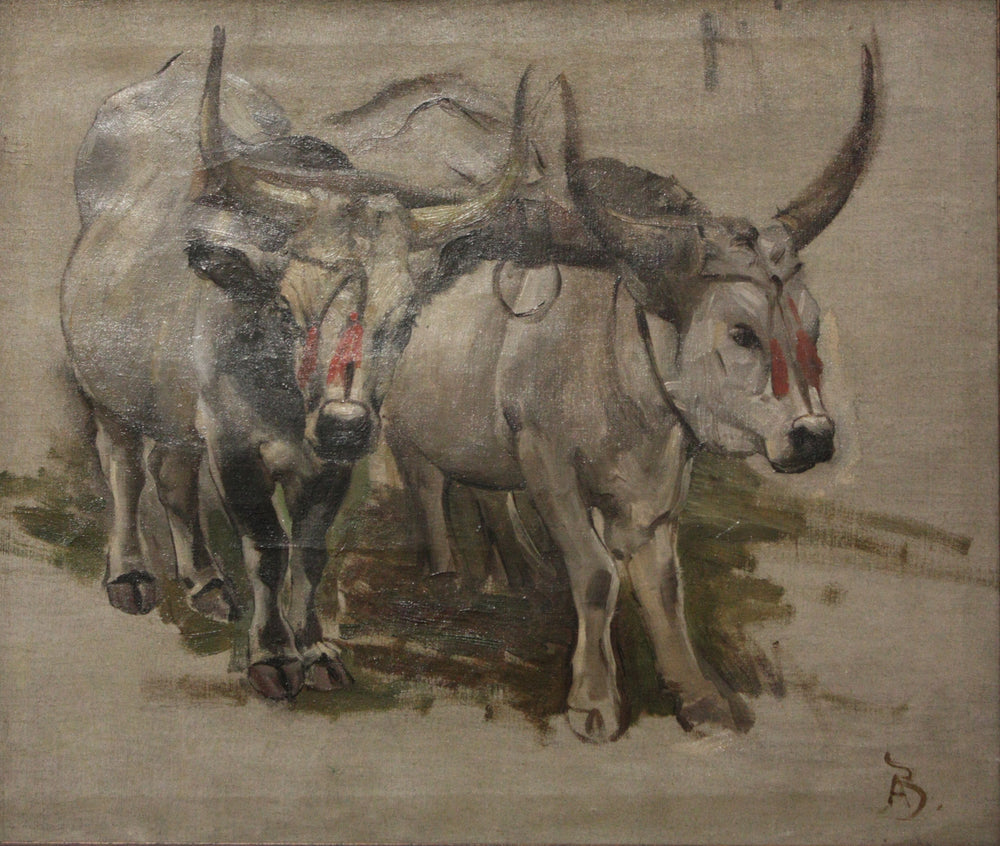 Attelage de zébus en Inde, étude - Albert Besnard