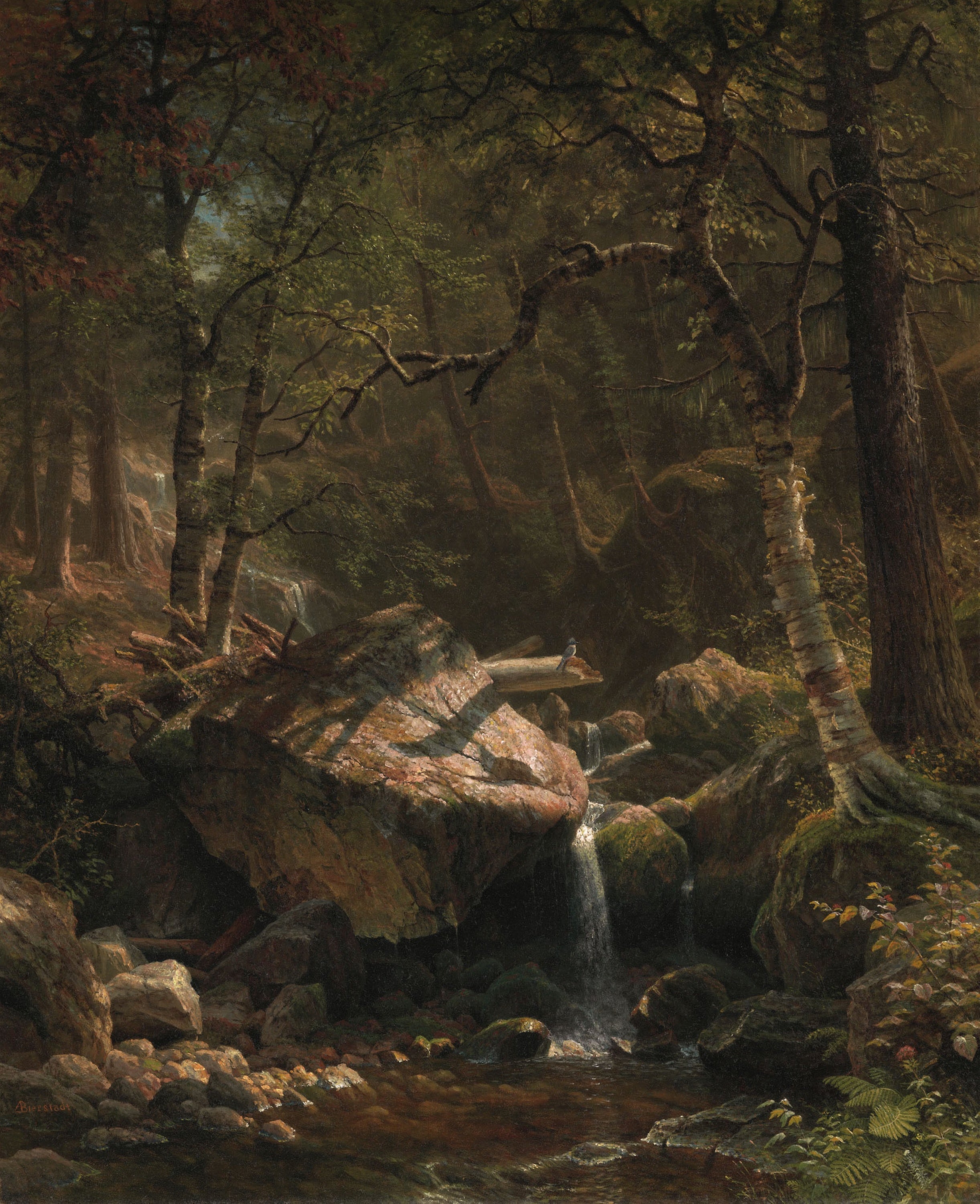 Le ruisseau de montagne - Albert Bierstadt