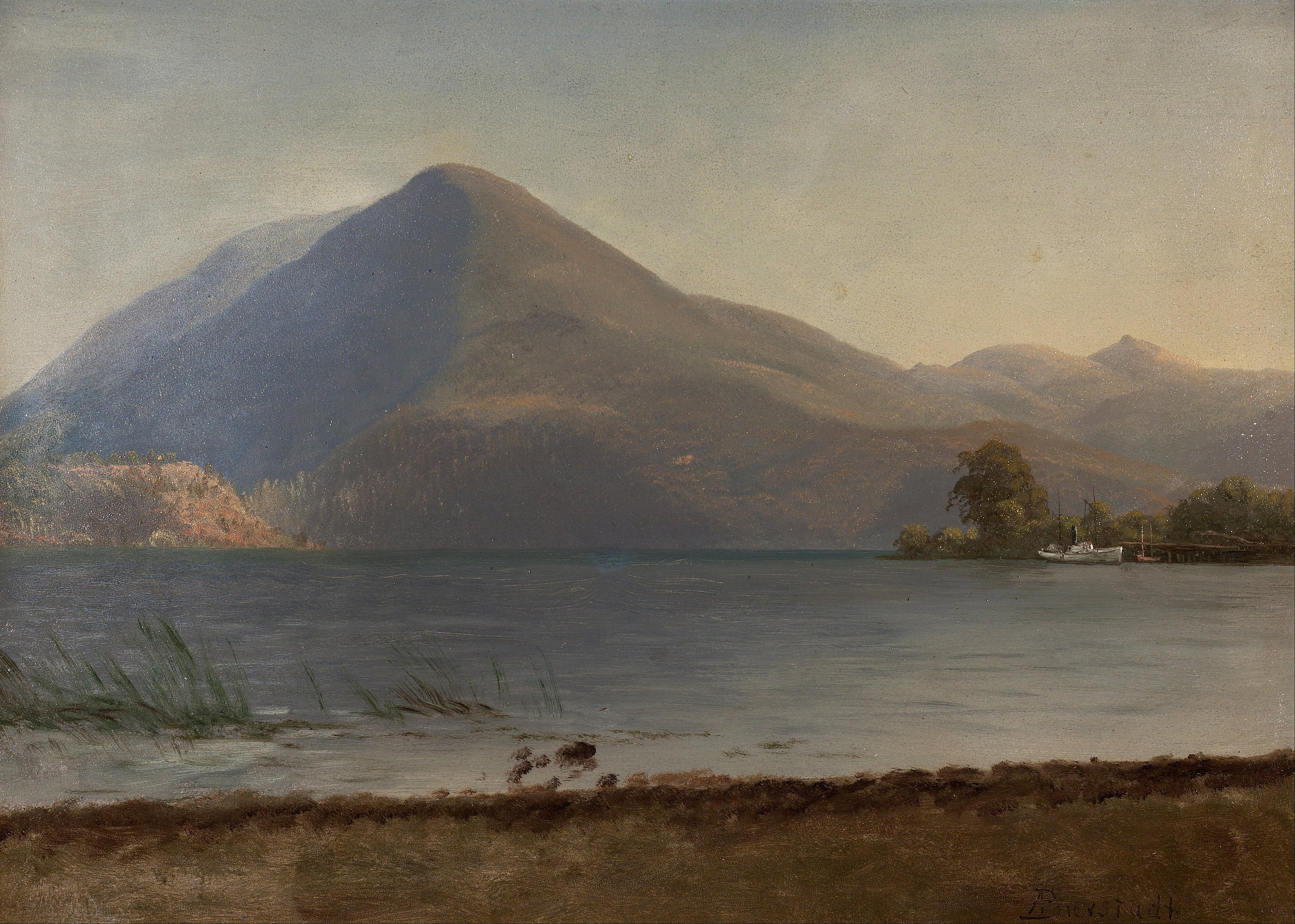 Sur l'Hudson - Albert Bierstadt