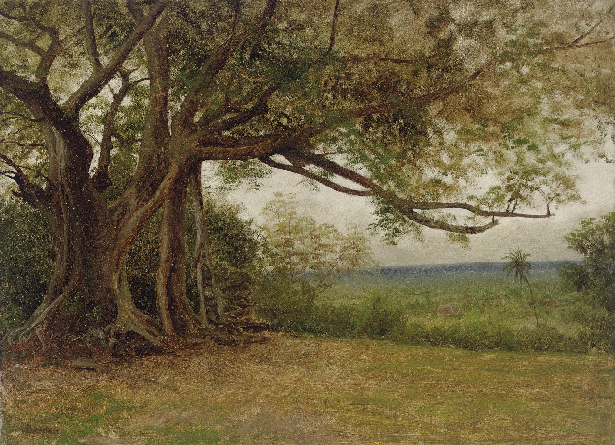 Étude pour « Le Débarquement de Colomb » - Albert Bierstadt