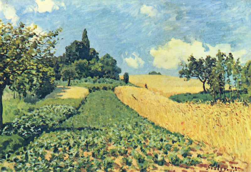 Vetefält på höjderna av Argenteuil - Alfred Sisley