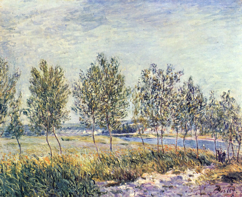 Poppelträd vid en flod - Alfred Sisley