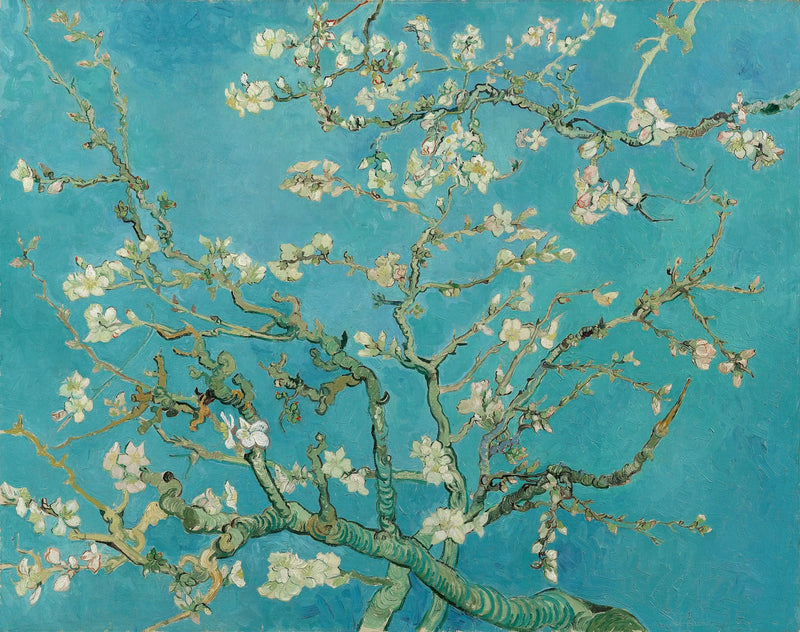Mandlar i blom - Vincent van Gogh