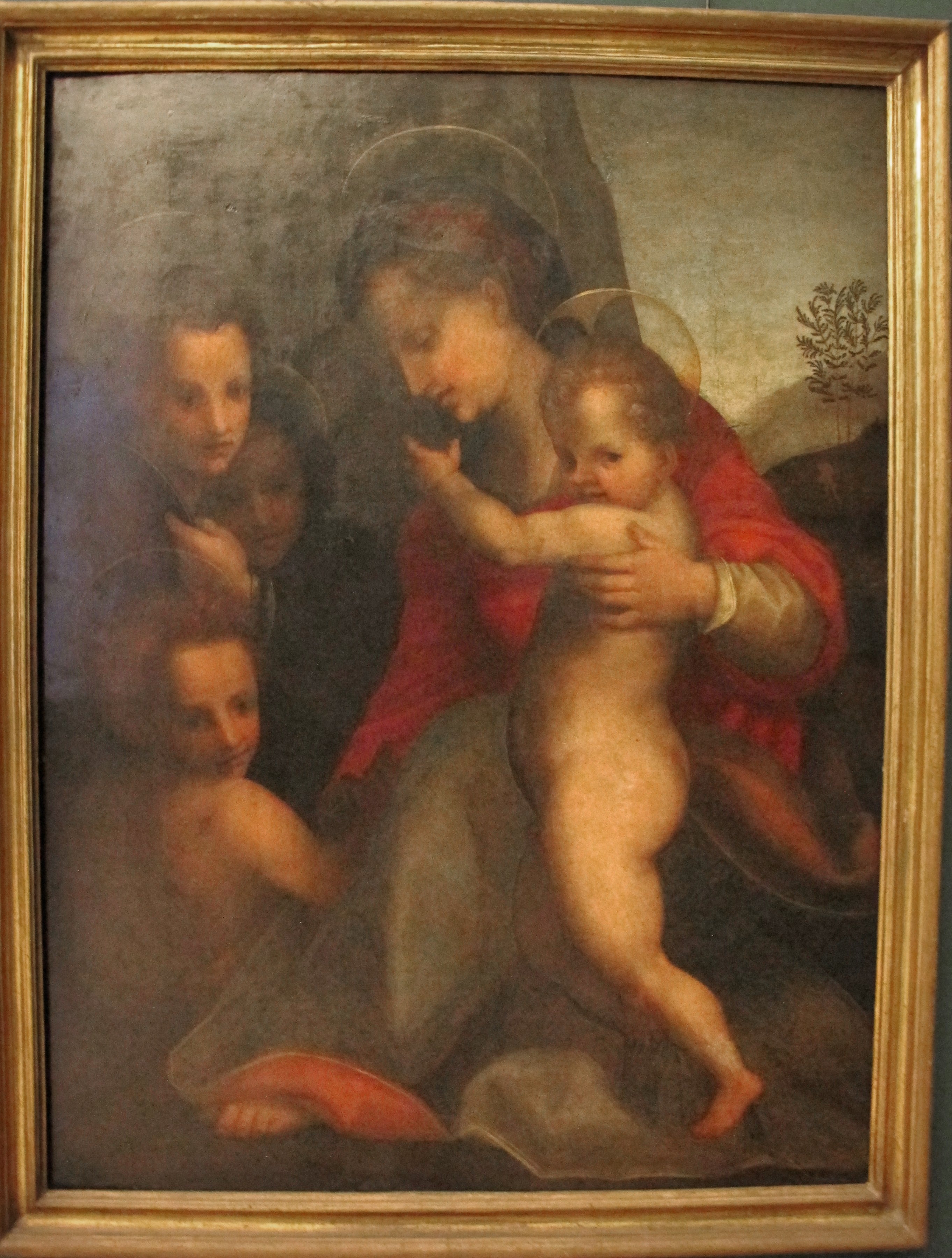 La Vierge à l'Enfant avec l'Enfant Saint Jean et des anges - Andrea del Sarto