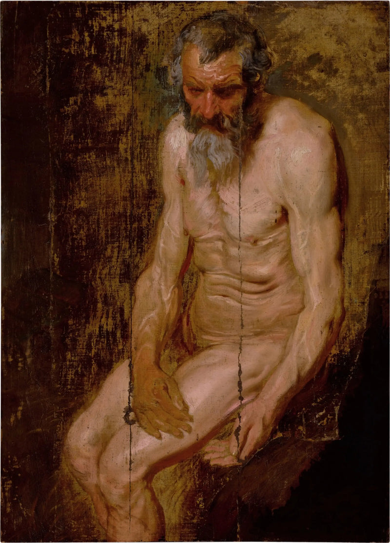 Sankt Hieronymus - Antoine van Dyck