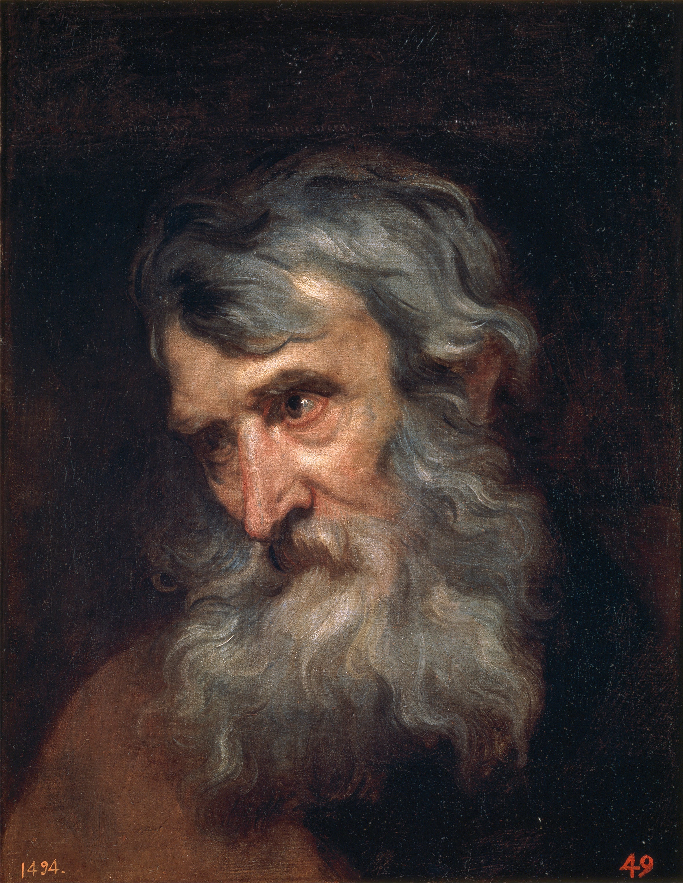Tête de vieil homme - Antoine van Dyck