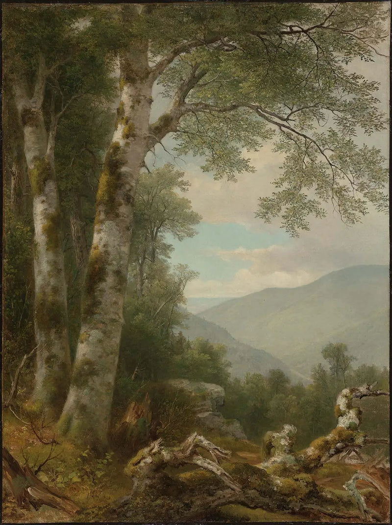 Landskap med björkar - Asher Brown Durand