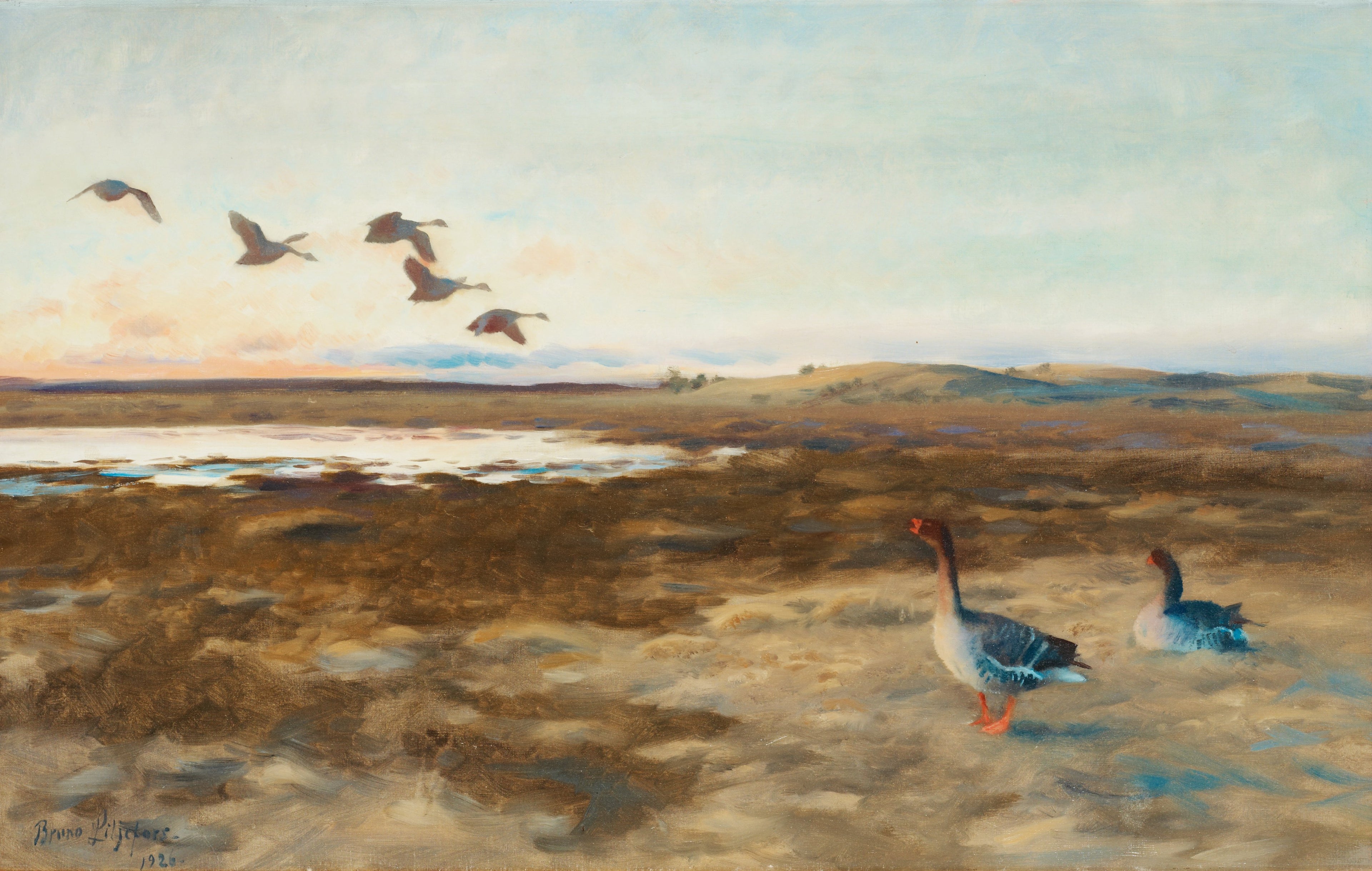 Oies des haricots - Bruno Liljefors