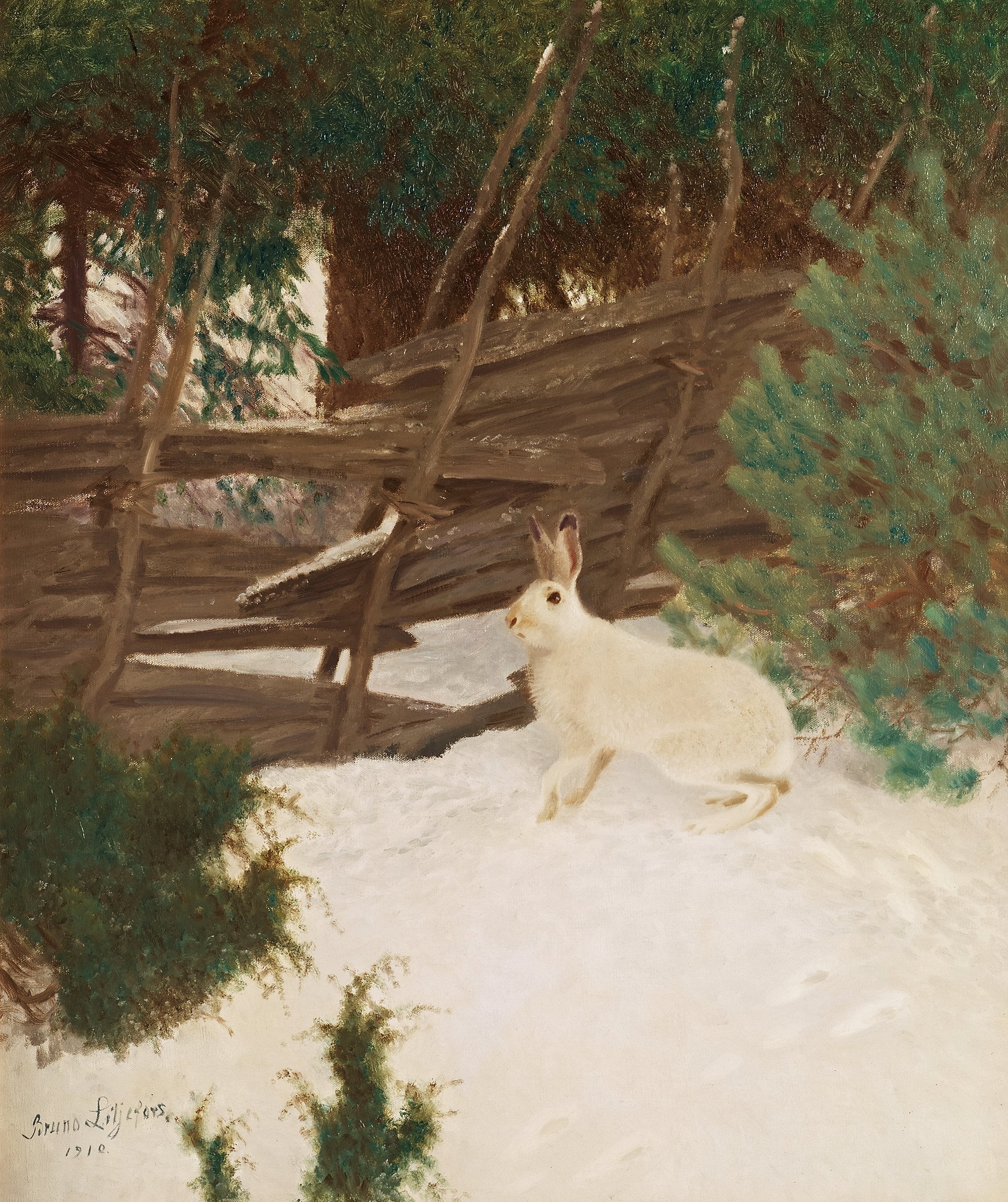 Lièvre d'hiver - Bruno Liljefors