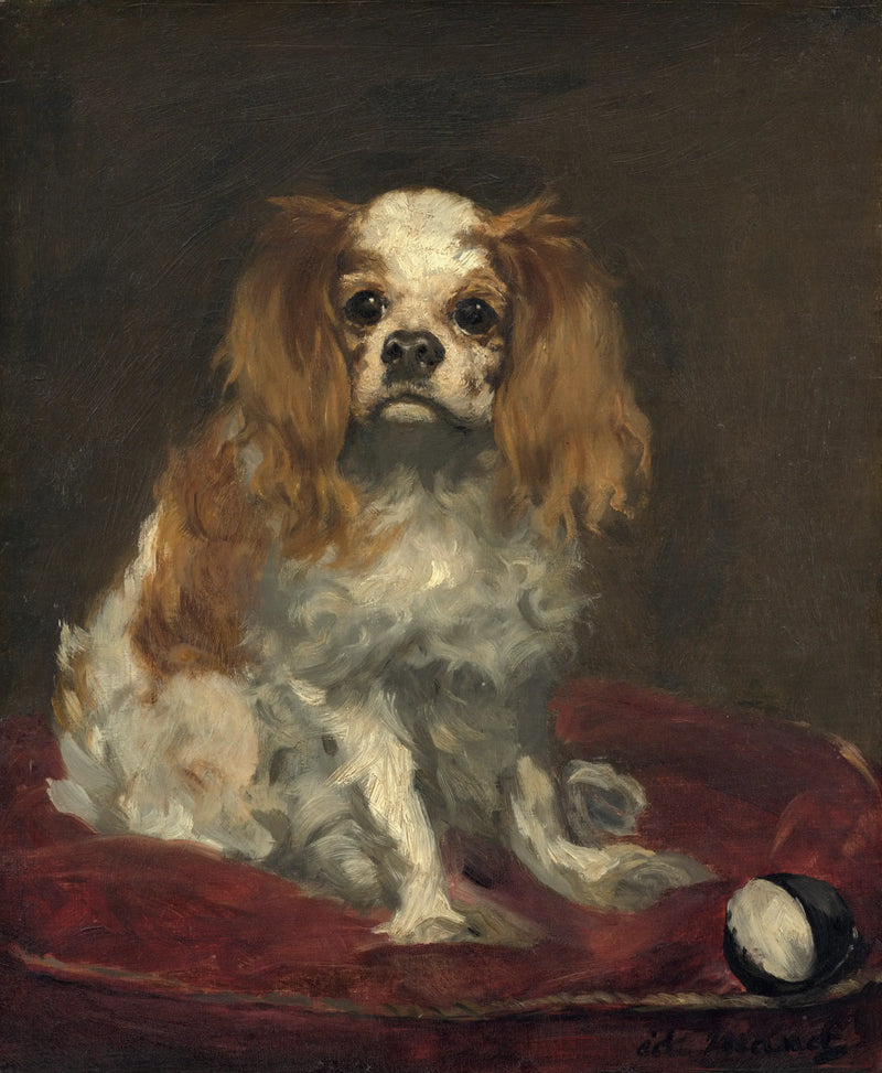 En King Charles spaniel - Édouard Manet