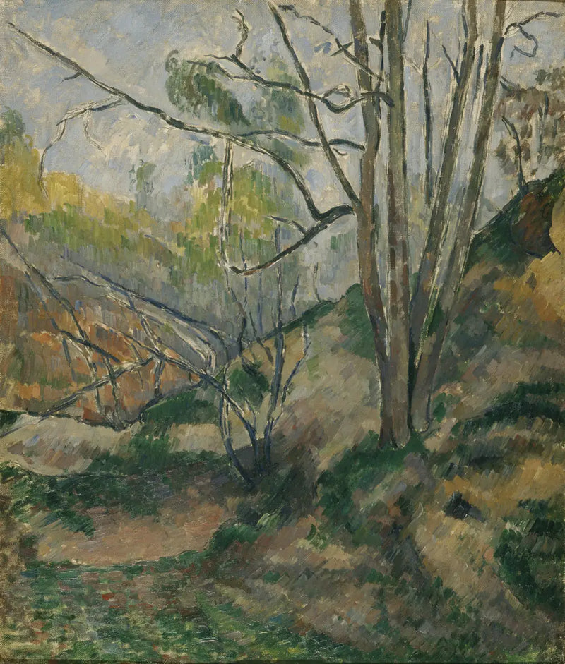 Undervegetation - Paul Cézanne