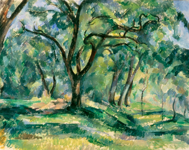Undervegetation - Paul Cézanne