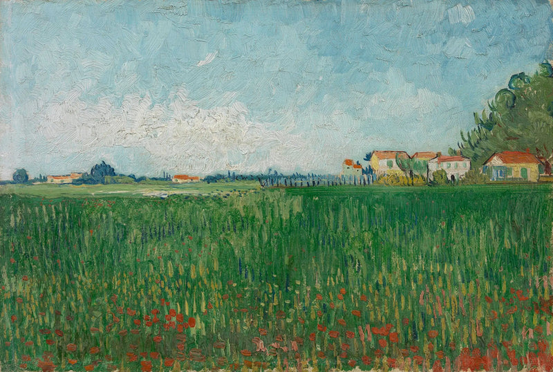 Fält av vallmo - Vincent van Gogh