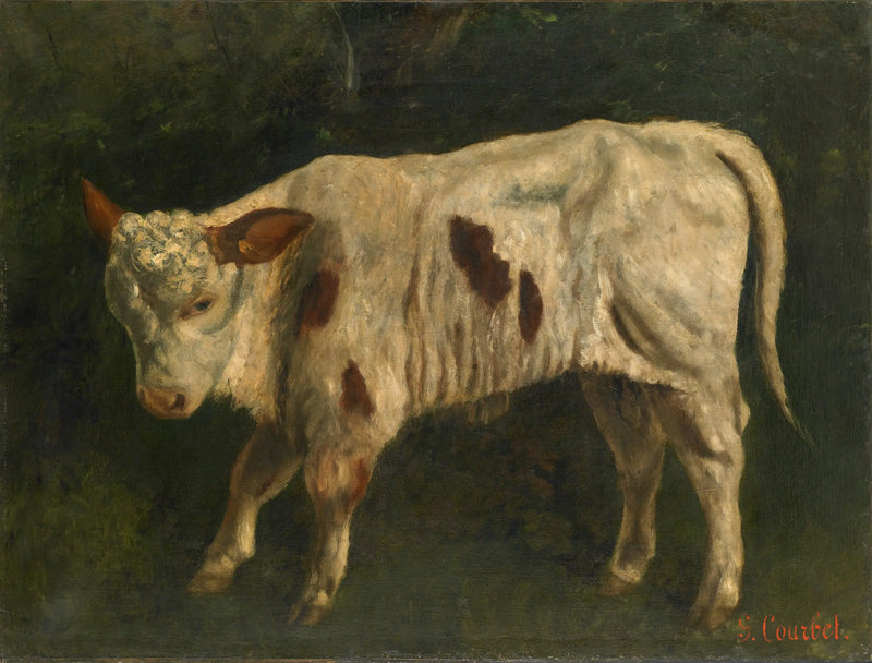 Den vita kalven - Gustave Courbet