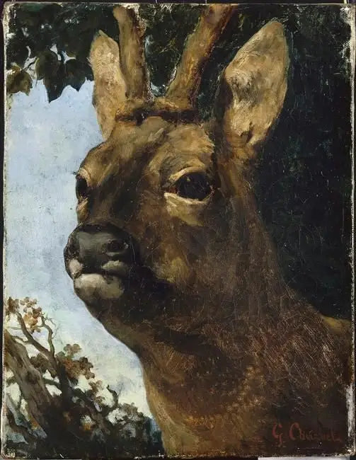 Hjorthuvud - Gustave Courbet