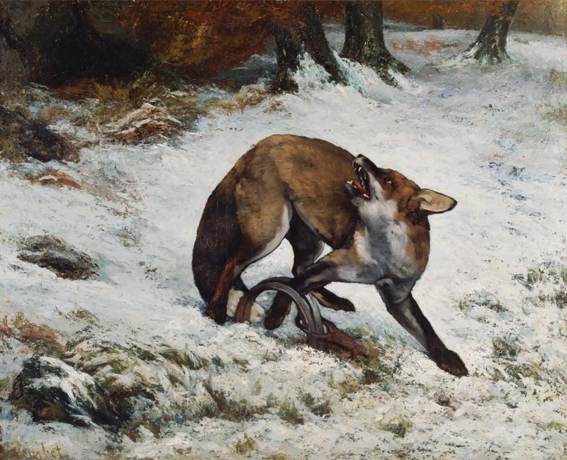 Renard fångad i en fälla - Gustave Courbet