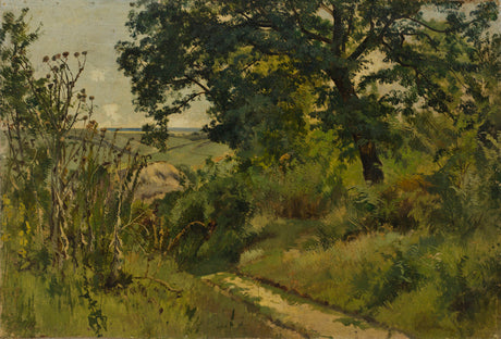 Paysage. Étude - Ivan Chichkine