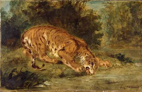 Tiger som dricker - Eugène Delacroix