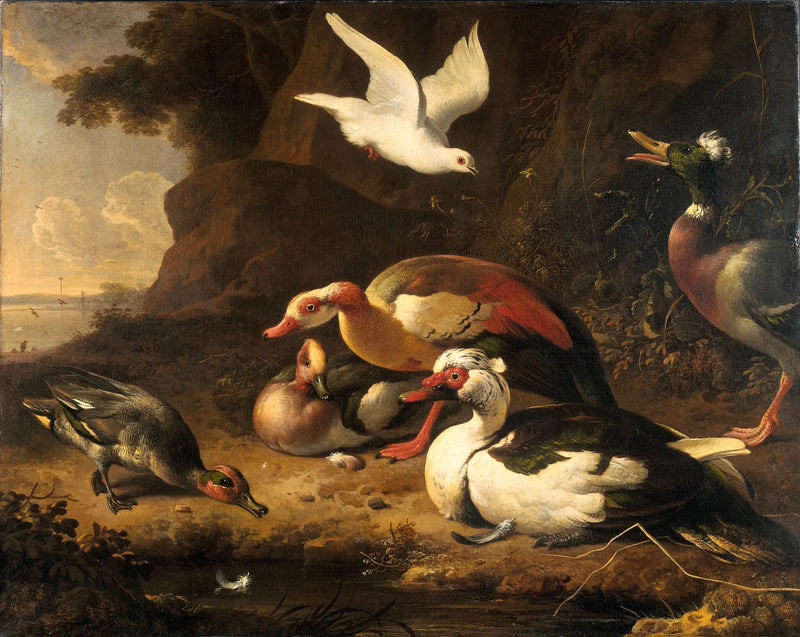 Ankor - Melchior de Hondecoeter