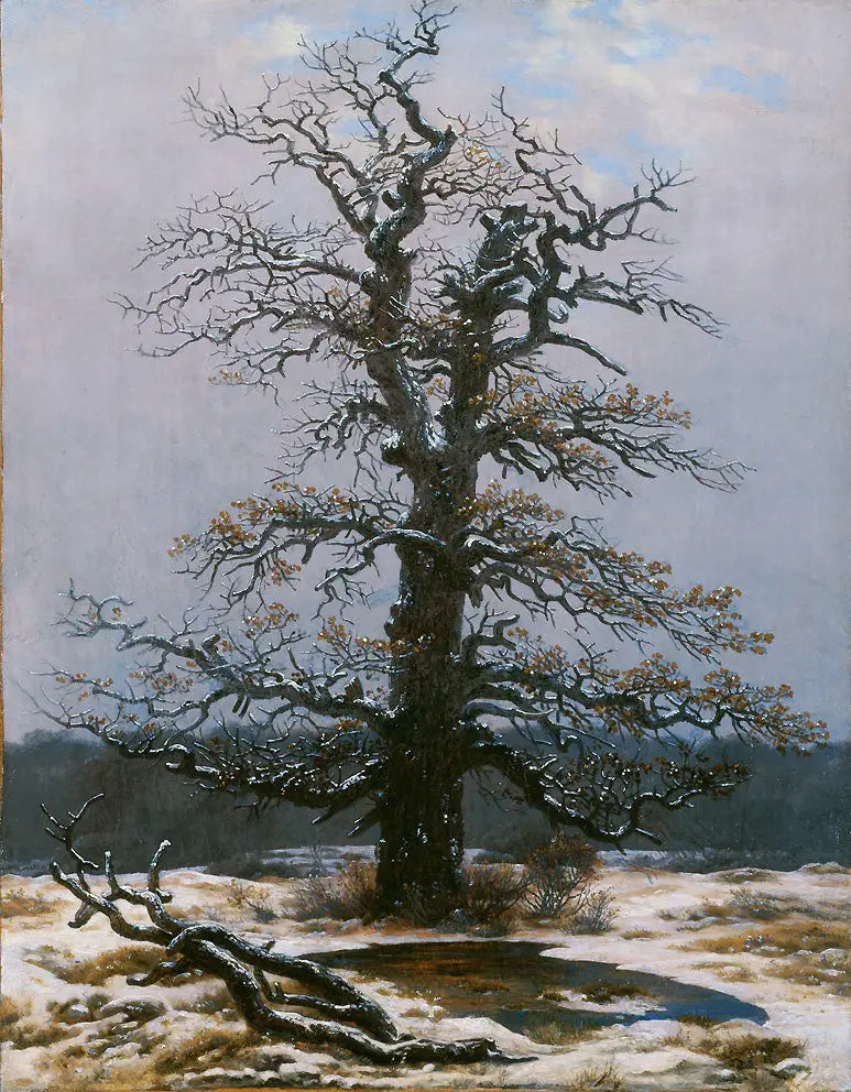 Ek under snön - Caspar David Friedrich