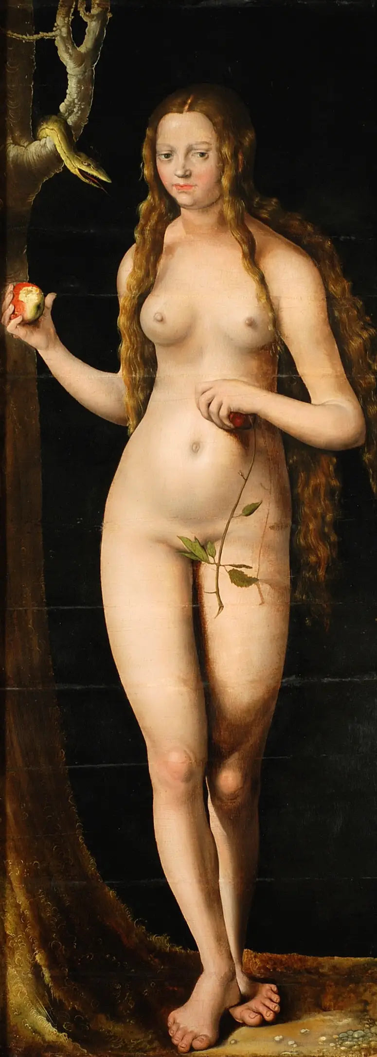 Väcka - Lucas Cranach den äldre
