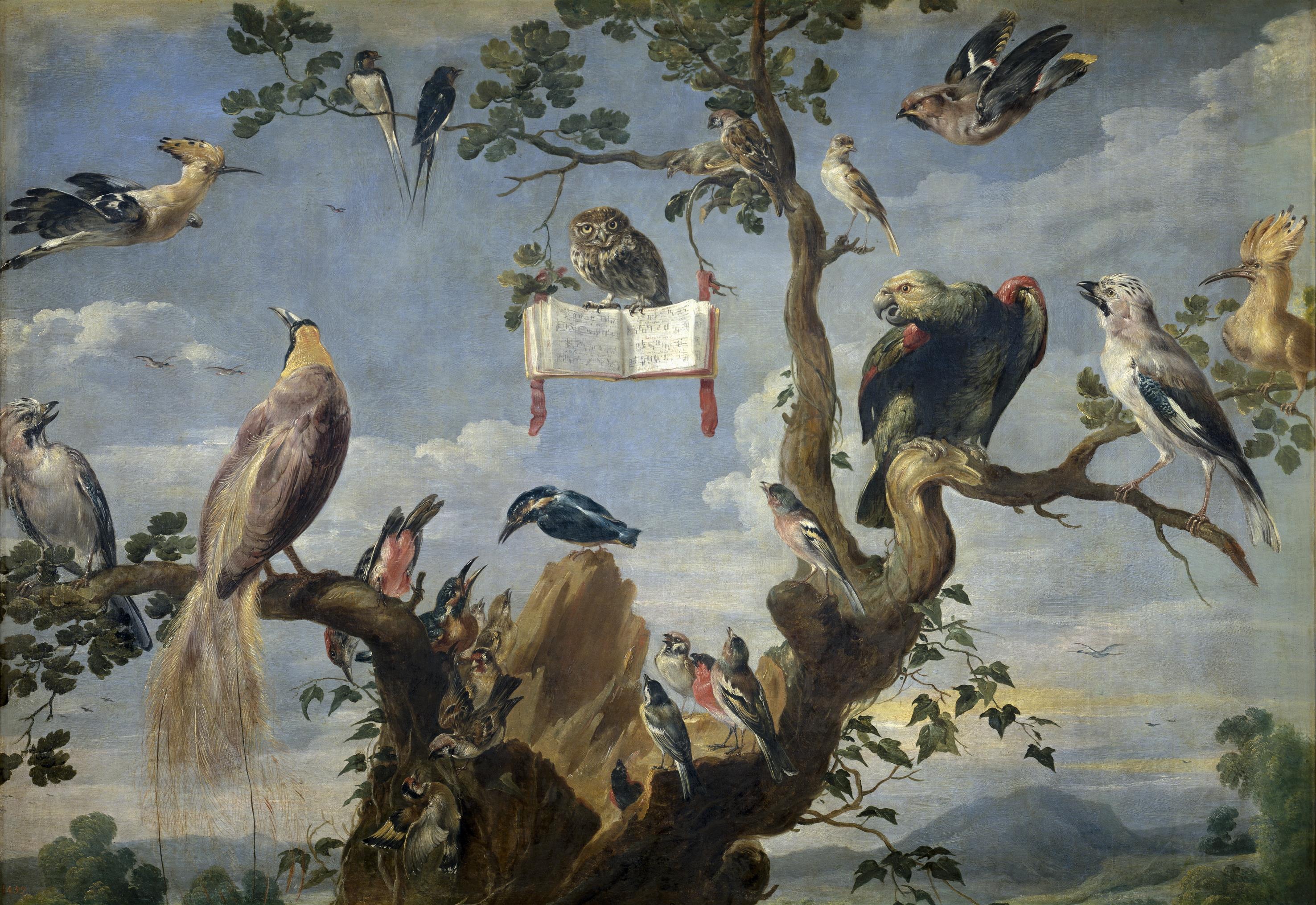 Le Concert d'Oisaeux - Frans Snyders