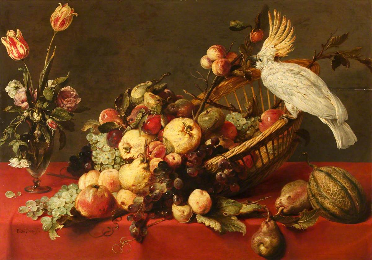 Nature morte avec fruits et cacatoès - Frans Snyders