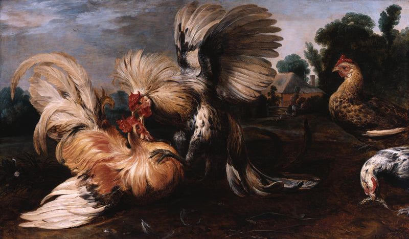 Combat de coqs - Frans Snyders