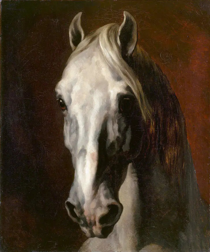 Vit hästhuvud - Théodore Géricault