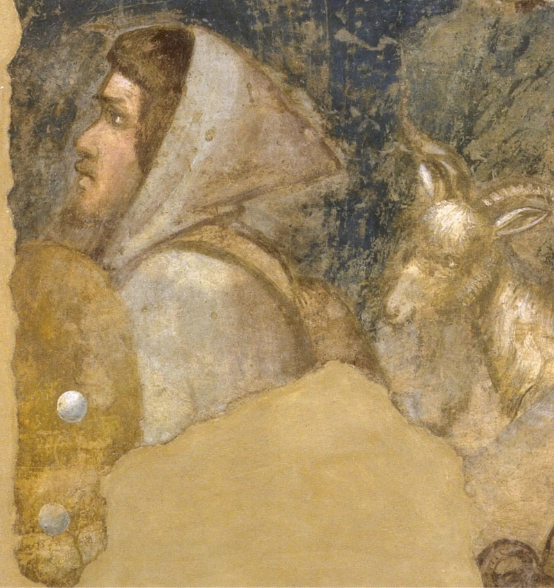Huvud av herde - Giotto