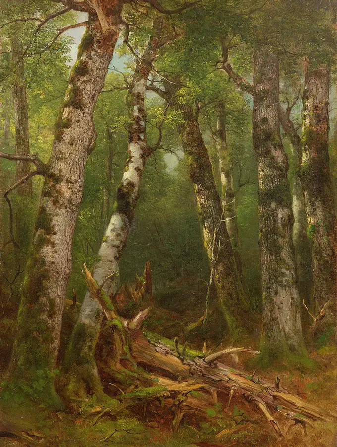 Trädgrupp - Asher Brown Durand