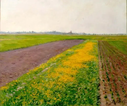 Gennevilliers slätt - Gustave Caillebotte