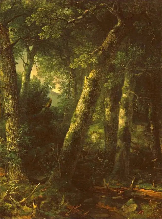 Skog i morgonljuset - Asher Brown Durand
