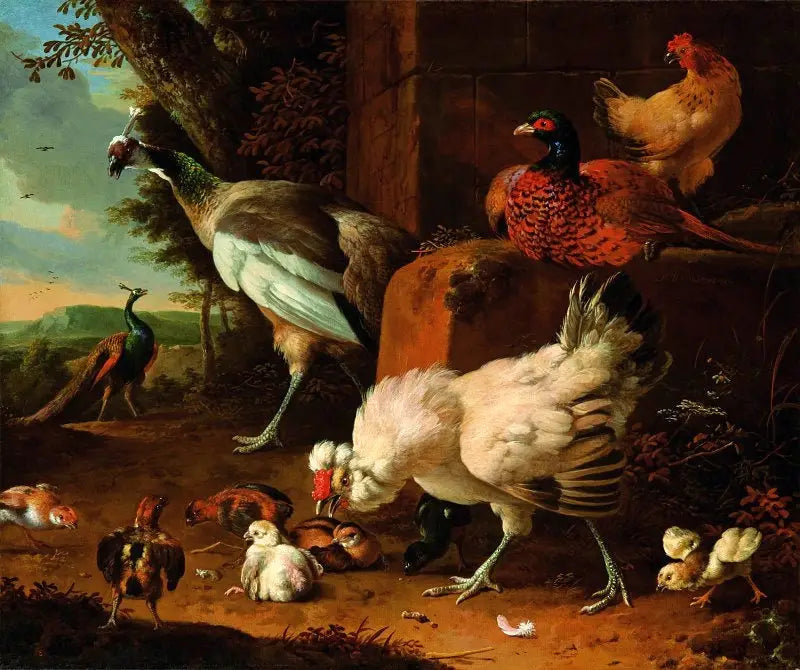 Les volailles domestiques avec un faisan et des paons. - Melchior de Hondecoeter - Alpha Reproduction