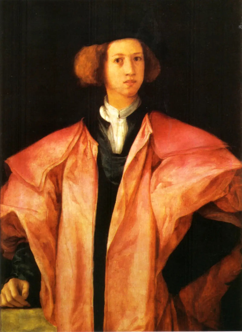 Porträtt av en ung man - Pontormo