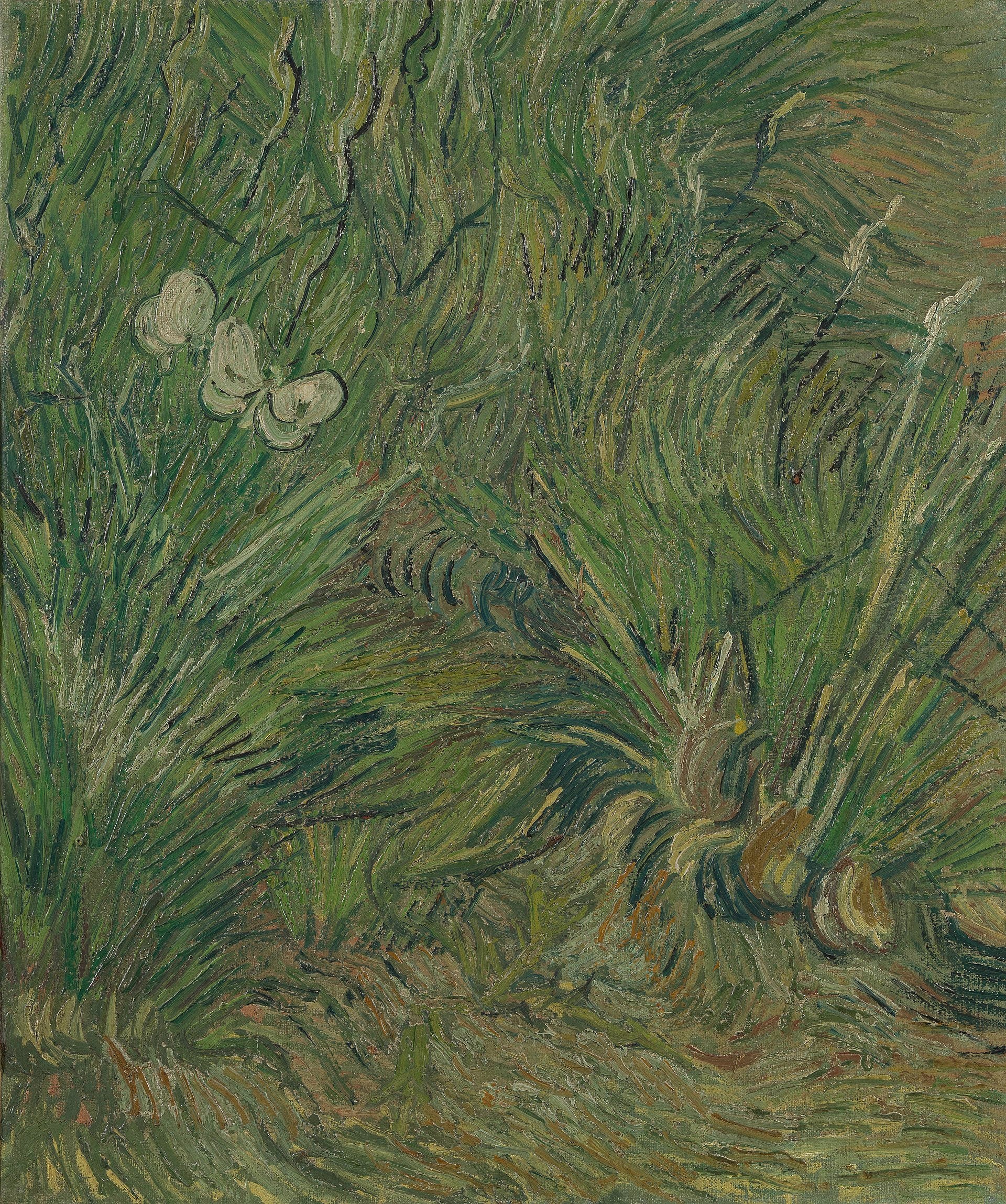 Fjärilsträdgård - Vincent van Gogh