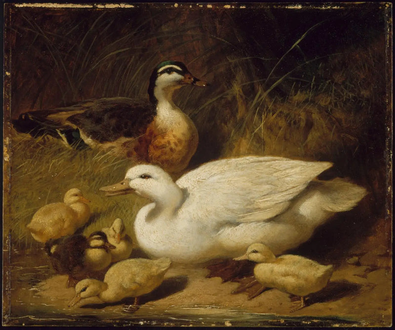 Ankor och ankkycklingar - John Frederick Herring, Sr.