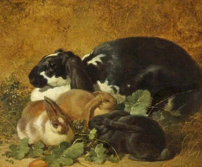 Kaniner - John Frederick Herring, Sr.