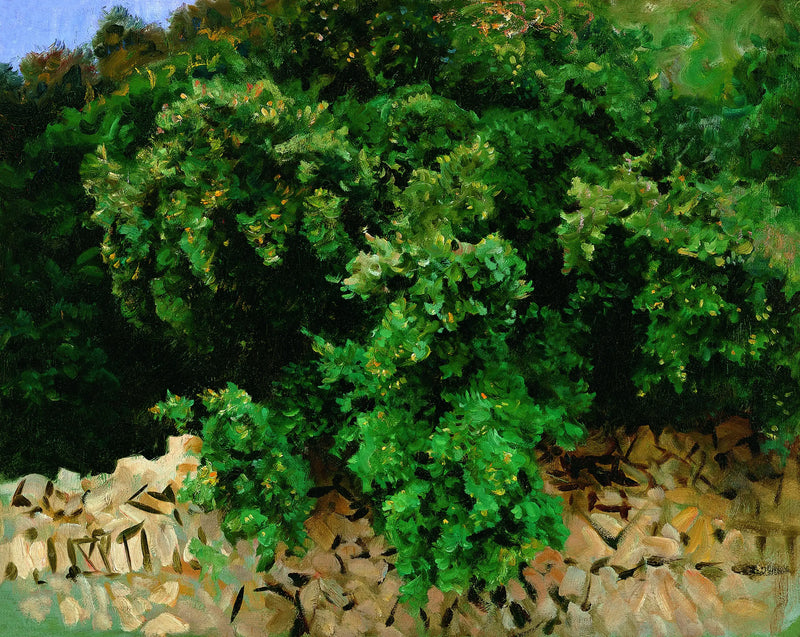Ilexträ. Mallorca - John Singer Sargent