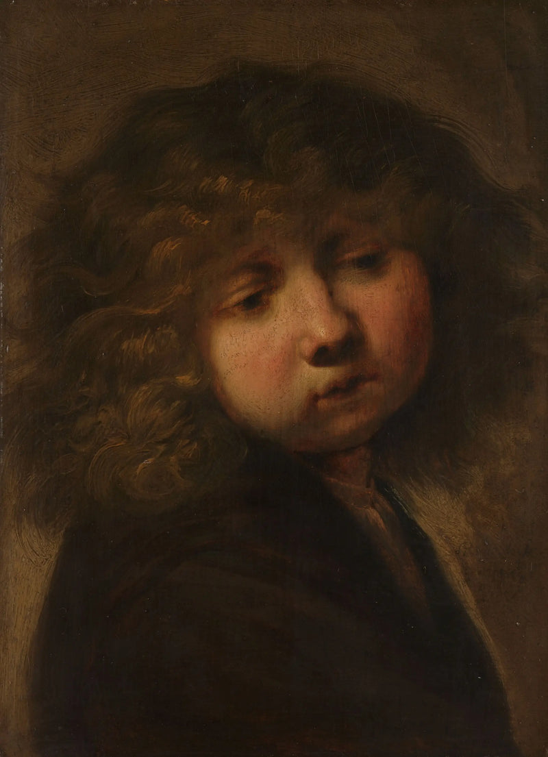 Pojkehuvud - Rembrandt