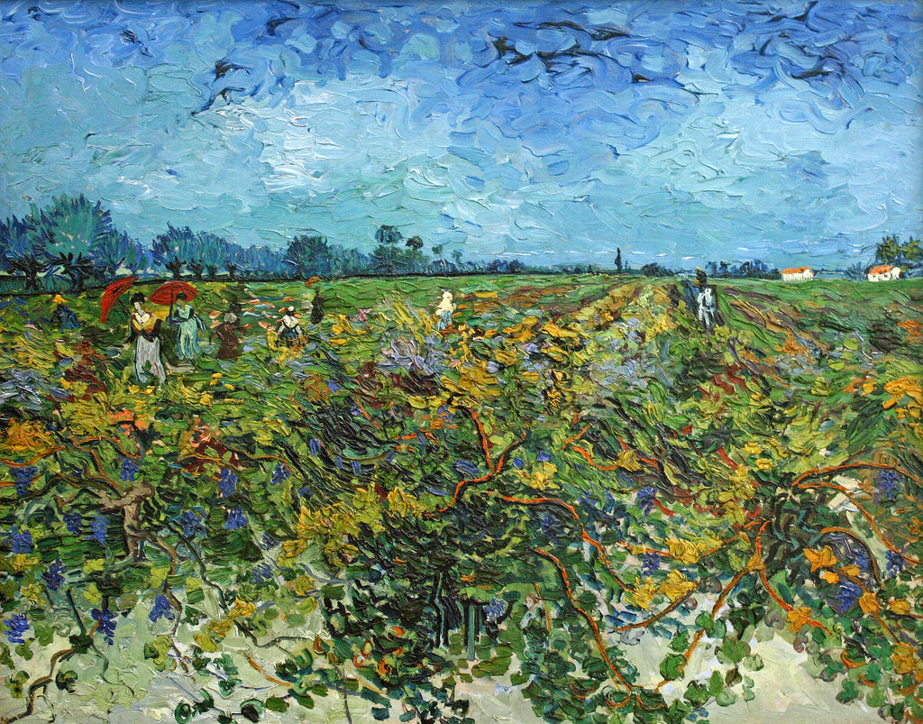 🍇 Den gröna vingården – Vincent van Gogh (1888)
