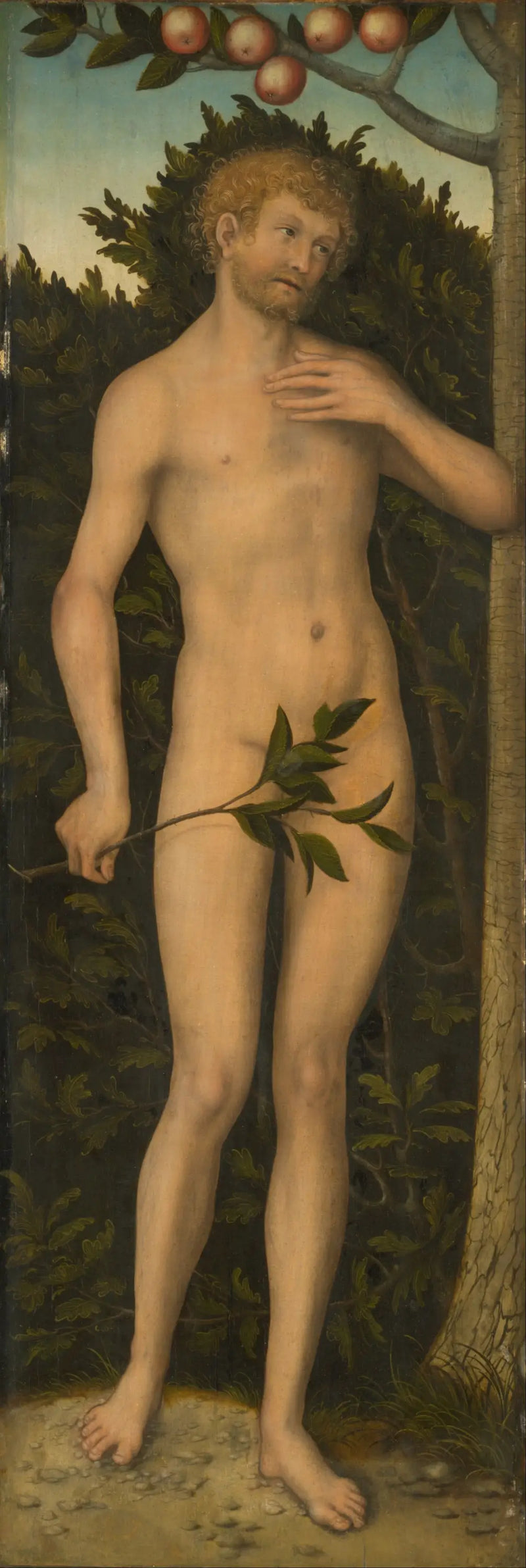 Adam - Lucas Cranach den äldre