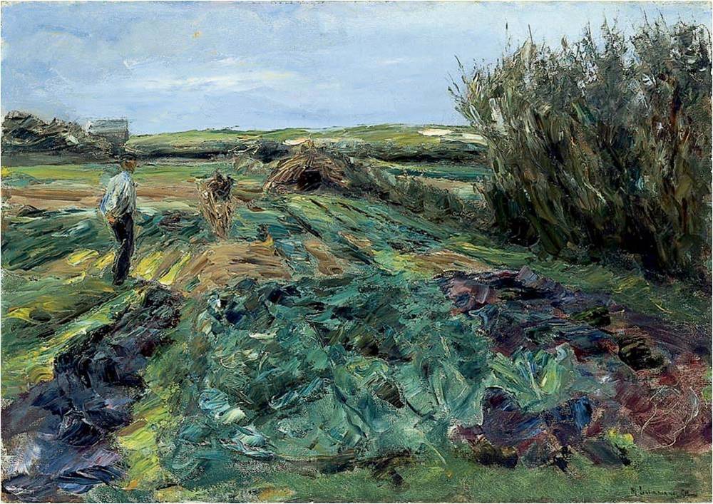 Le champ de choux (champ de choux à Noordwijk) - Max Liebermann