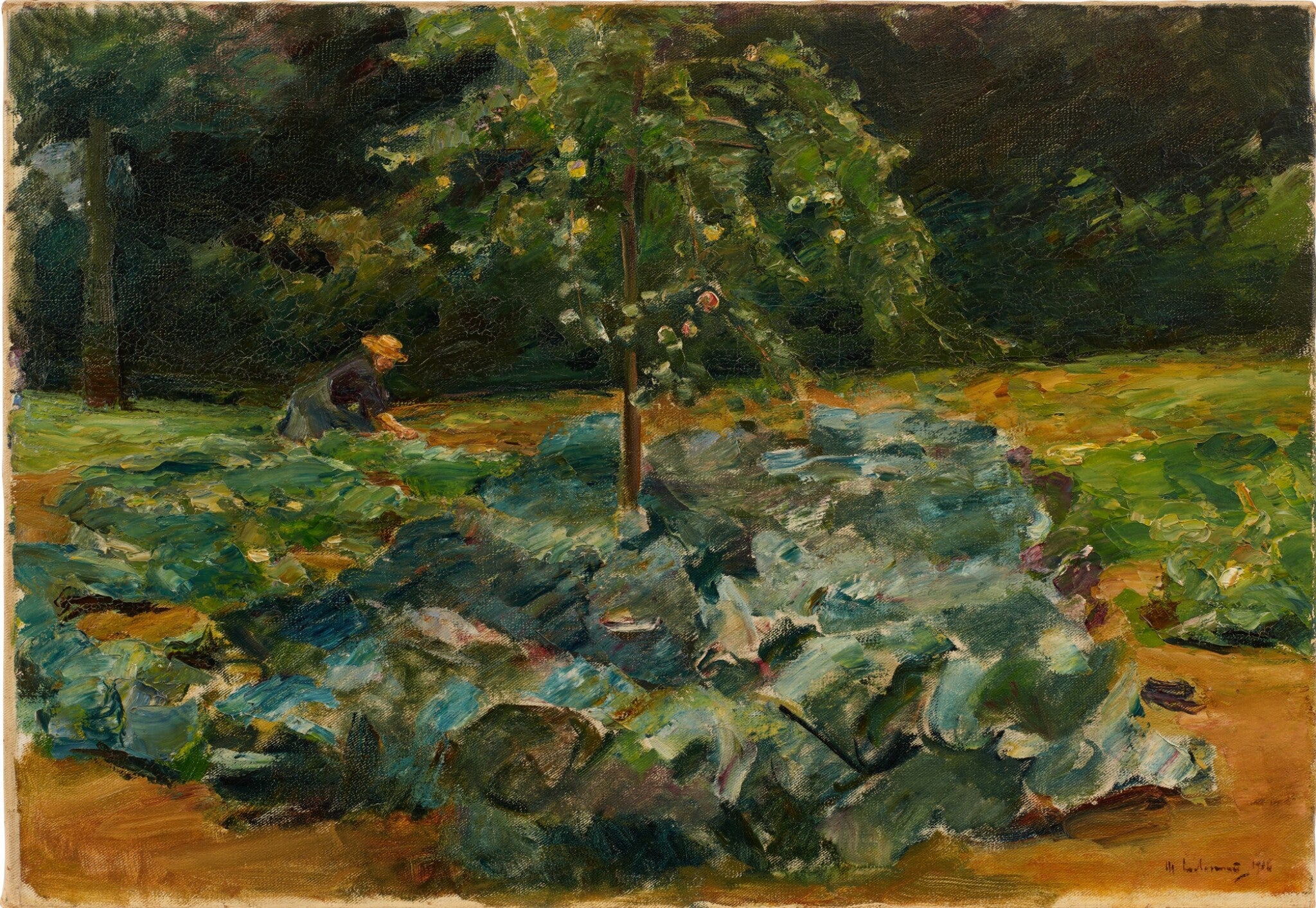 Kålfält i Wannsee-trädgården - Max Liebermann