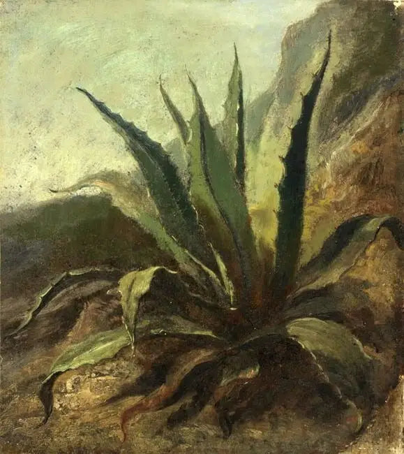 Agave i Marocko - Eugène Delacroix
